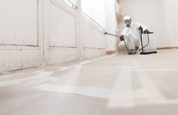 Trusted Attic Mold Removal service in Warren, PA - WQB Mold Removal